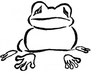 frog.jpg