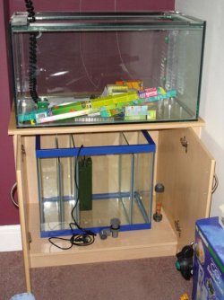 Fish_tank_equipment_019.jpg