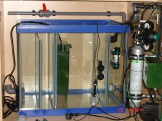 Fish_tank_equipment_033.jpg