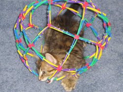 Cat_ball_fun__007.jpg