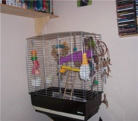 bedroom_cage.jpg