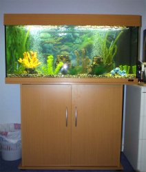 new_aquarium_2.jpg