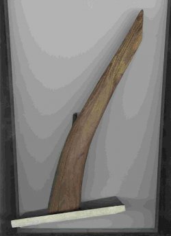 wood_ordiment.jpg