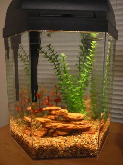 FISHnov19_014.jpg