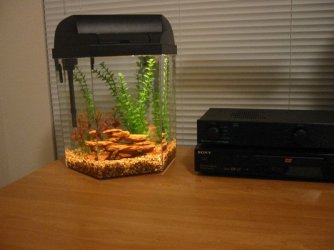 FISHnov19_037.jpg