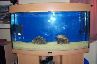 my_marine_tank.jpg