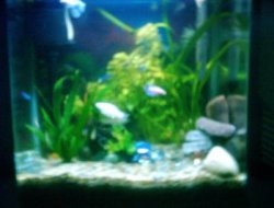 fishypics_001.jpg