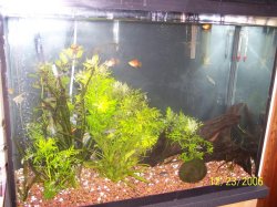 NEWTANK_UPDATE_6.JPG