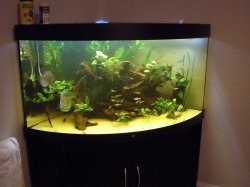 smaller_tank_photo.JPG