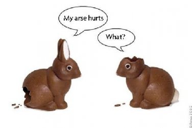 easter_bunnies.jpg