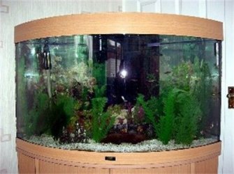 fishtank_001.jpg