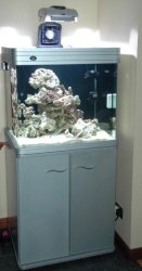 fishtank_060.jpg