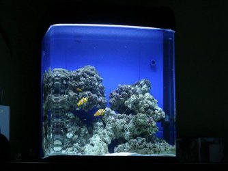 Marine_Tank_1.jpg