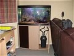 fish_tank_013__Custom_.jpg