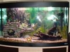 fish_tank_001__Custom_.jpg