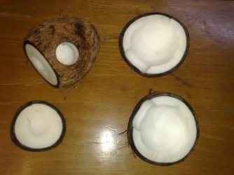 Coconut1.jpg