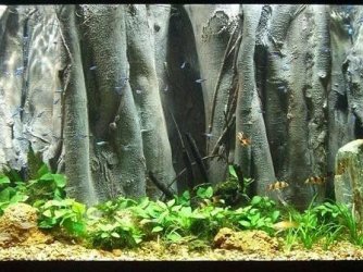 Super_Realistic_3D_Aquarium_Background.jpg