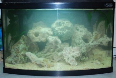 fish_tank_027.jpg