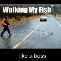 Walking my fish.jpg