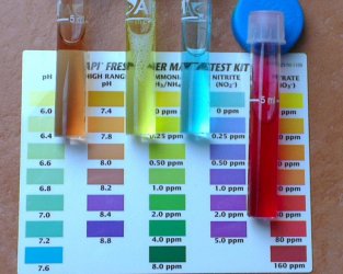 Water Samples.jpg