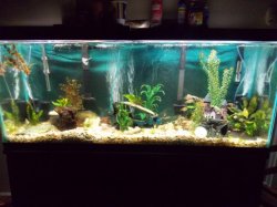 Tank 1-30-2014.jpg