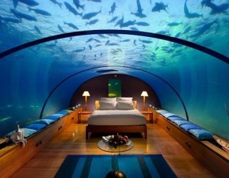 bedroom fish tank.jpg