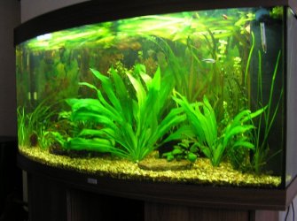 MAIN TANK - JUL 12..jpg