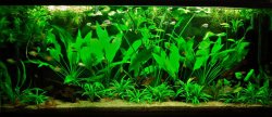 115g Feb 24-15.JPG