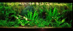 70g March 13-14.JPG