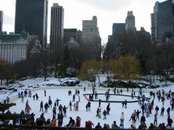 newyork09_wollmanrink.jpg