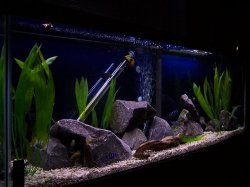 45_gallon_mar4.jpg