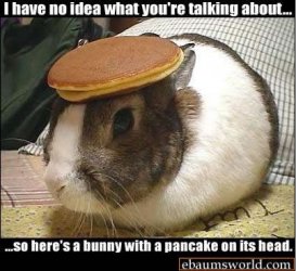 bunnyPancake.jpeg