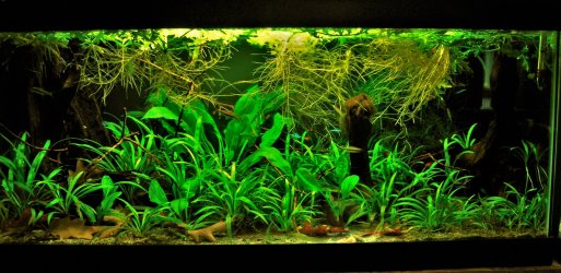 40g March 21-18.JPG