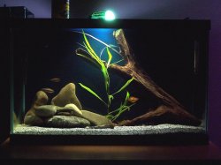 10gallon_march20.jpg