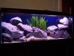 45gallon_march28_1.JPG