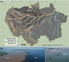 Amazon Basin River Types.jpg