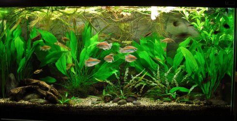 90g Aug 23-13.JPG