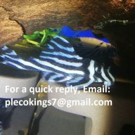 Plecoking