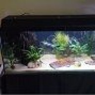 FishTankCrazy