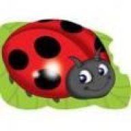 ladybird76