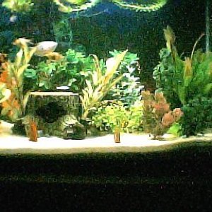 full_tank_view001.jpg