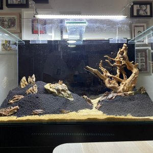 50gal scaping4.jpg