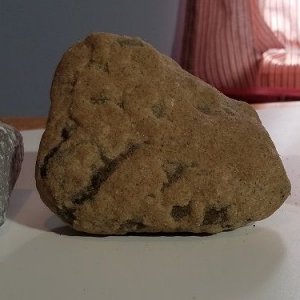 Rock Samples.jpg