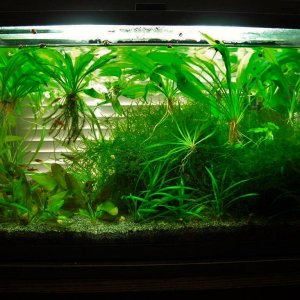 10g Aug 19-10 (2).JPG