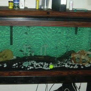 fish_tank_a.JPG