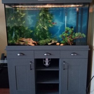 Fluval Shaker 252 {66.5 gallons} (2).jpg