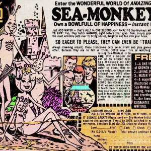 Sea Monkeys.jpg