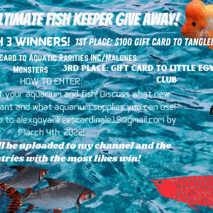 Aqua Alex's ULTIMATE Fish Keeper Give Away!.png