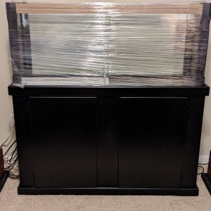 20220226 - New 55g Aquarium Masters Tank plus Stand.jpg