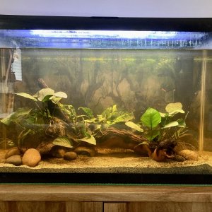 30gal_5-9-2022.jpg